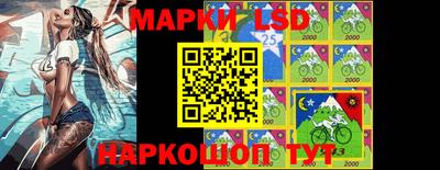 молекула духа Будённовск