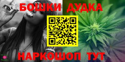 молекула духа Будённовск