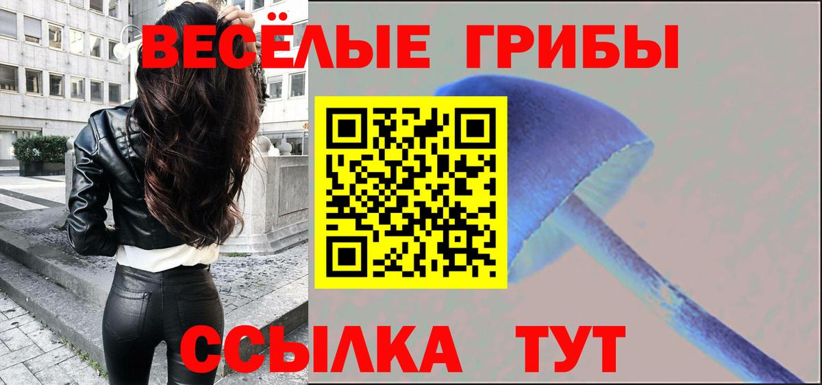 Галлюциногенные грибы Psilocybe  Вход с VPN  Галлюциногенные грибы прущие грибы  Рузаевка 